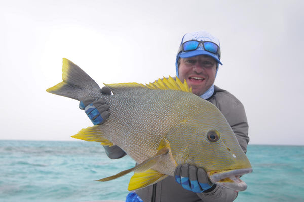 MAORI SEA PERCH