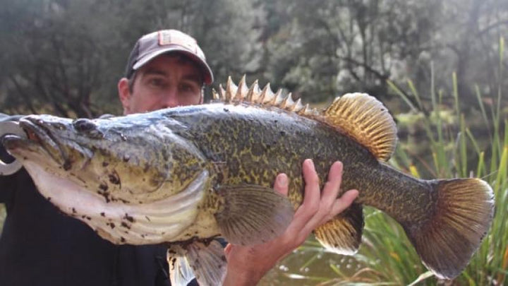 My Fishing Place Season 1 Episode 5 — The Cod Are On