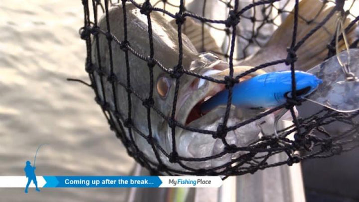 My Fishing Place Season 1 Episode 6 — It's Barra Time