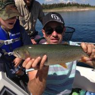 TROUT, YELLOWSTONE CUTTHROAT