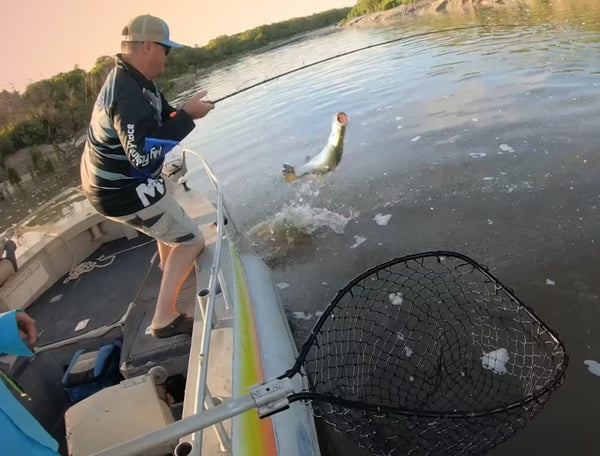 Classic NT Barra — Part 2