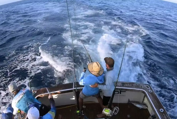 Blue Water Action on Jewel Reef