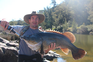 COD, MURRAY