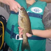 BASS, SMALLMOUTH
