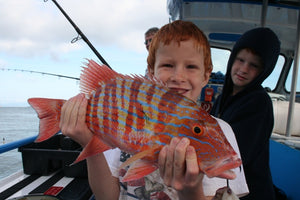 Whitsunday Fishing Charters